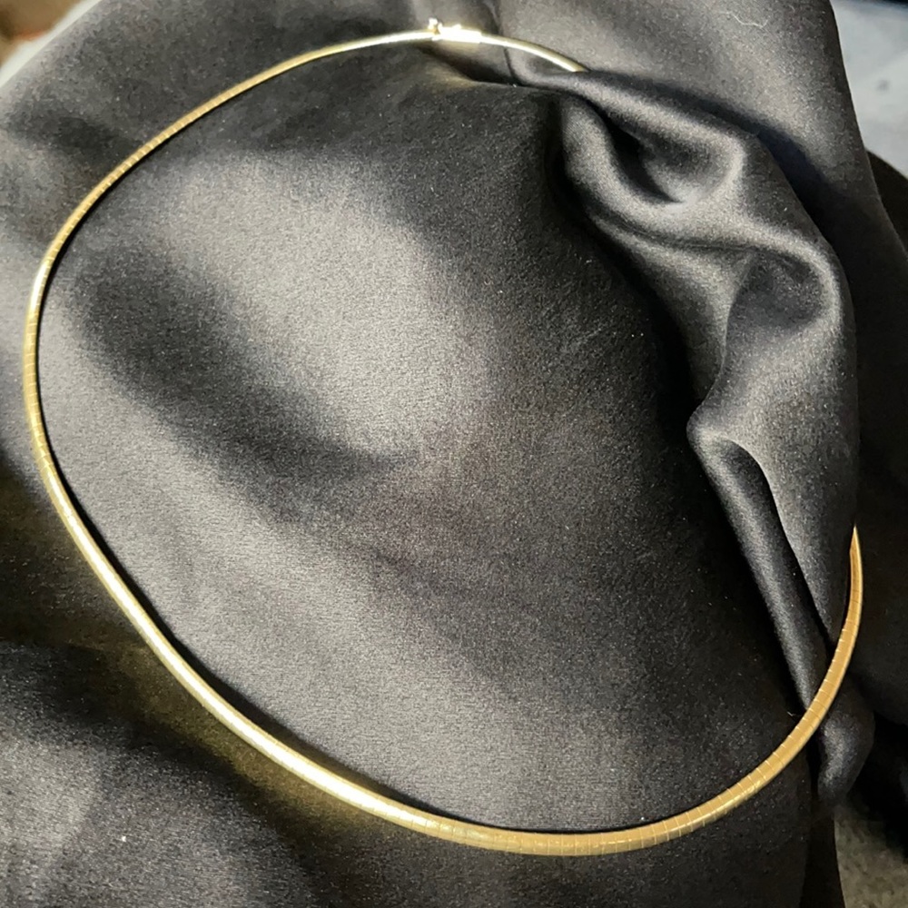 Omega Link Necklace